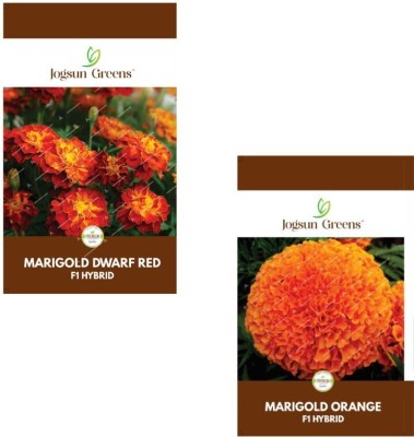 GARDENIFY INDIA orange,red Dwarf marigold seeds, Non-GMO (Variety Superb Flower Garden) Seed(30 per packet)