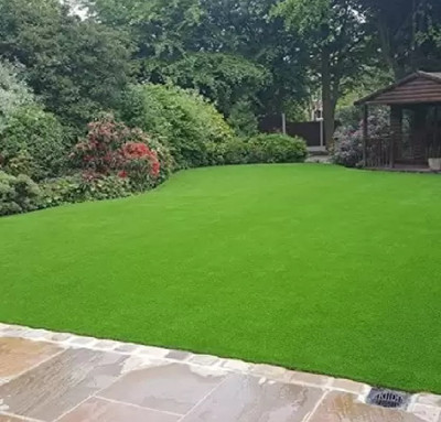 the green dotcom Best bermuda grass seed, bermuda grass seeds for garden Seed(2500 per packet)
