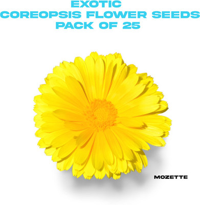 XOLDA Exotic coreopsis flower seeds Seed(25 per packet)