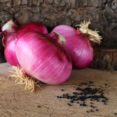 Cloud Farm Onion Red Nasik Seed(200 per packet)
