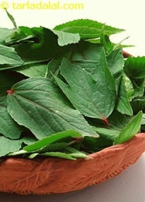 XOLDA Ambada Seed(26 per packet)