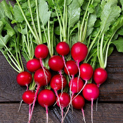 Cloud Farm Radish Round Red Seed(69 per packet)