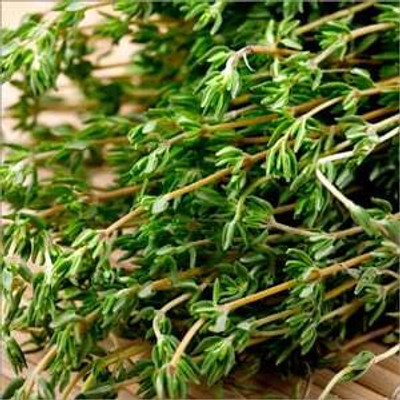 XOLDA Organic thyme herb Seed(31 per packet)
