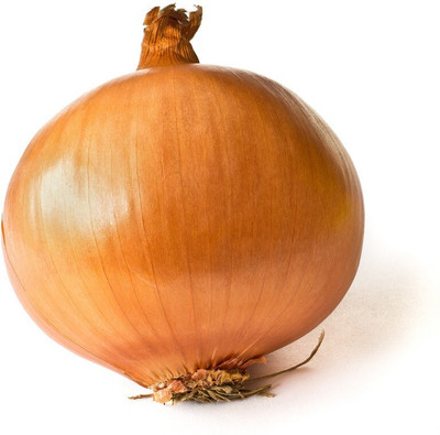 Pbevergreen onion vegetable hybrid seeds 1-packet Seed(105 per packet)