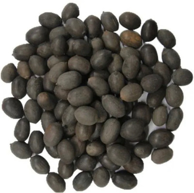 VS GLOBAL Beautiful variety colour lotus seeds( 2 each) 16 seeds Seed(16 per packet)