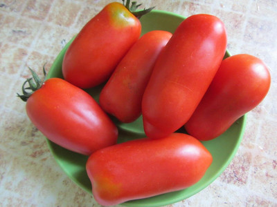 KNESSiN F1 Hybrid Red Long Pepper-Shaped Tomato Seeds For Gardening - (1000 Seeds) Seed(1000 per packet)