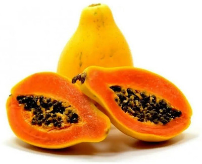 Farmonix Hybrid papaya seed Seed(100 per packet)