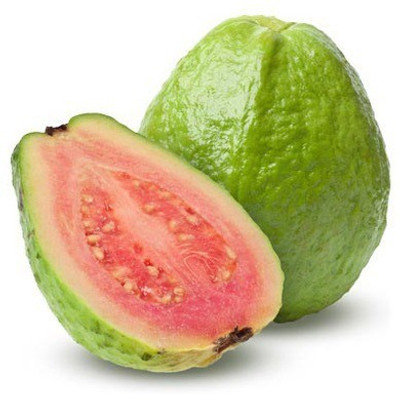 XOLDA Guava Amrood Seed(22 per packet)
