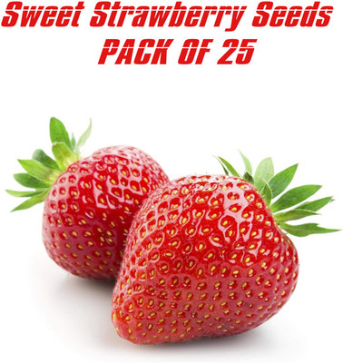 Mozette Strawberry Seed Seed(25 per packet)