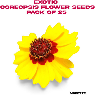 XOLDA Exotic coreopsis flower seeds Seed(25 per packet)