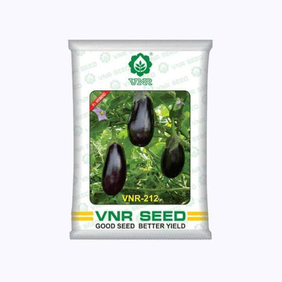 VNR vnr 212 F1 Hybrid Brinjal Seed(70 per packet)
