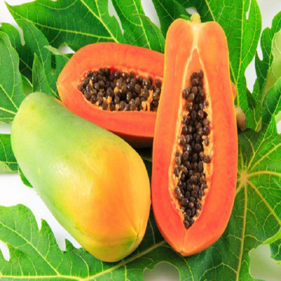 Farmonix Papaya Fruit Seeds Seed(150 per packet)