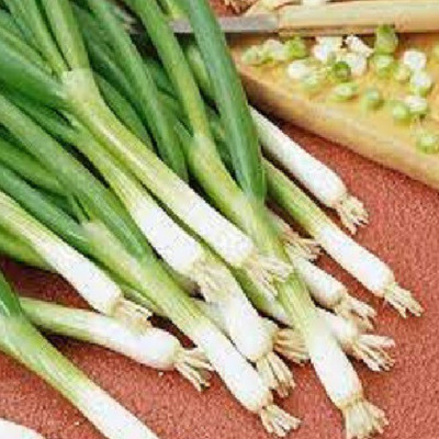 ALPINE HYBRID SEEDS Bunching onion Seed(50 per packet)