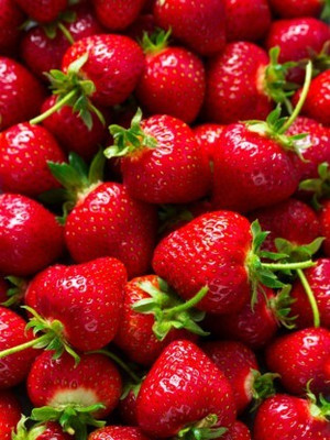 XOLDA Strawberry Seed Seed(25 per packet)