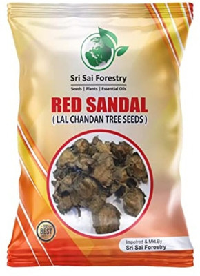 SRI SAI FORESTRY Red Sandalwood (Rakta Chandan): High-Quality Seeds for Long-Term Investment Seed(500 g)