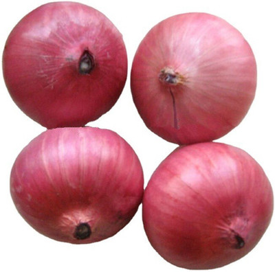 Pbevergreen Nasik Onion Seed(60 per packet)