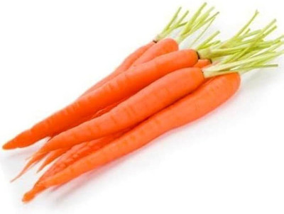 Cloud Farm carrot seeds/carrot seed 100 Seed(100 per packet)