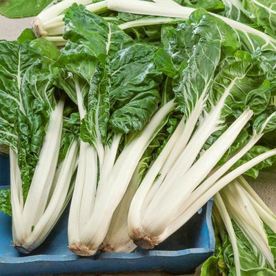 Paudha Swiss Chard White Seed(35 per packet)