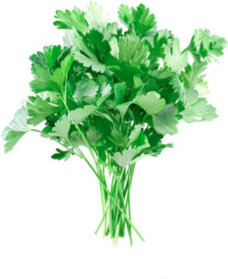 XOLDA Parsley Vegetable Seed(25 per packet)
