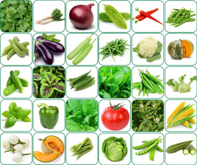 Aero Seeds 30 variety vegetable seeds combo pack with instruction manual. Seed(30 per packet)