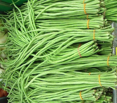 GREENSEA Long Bean/Barbati Seeds for Planting, High Yield Seed(50 per packet)
