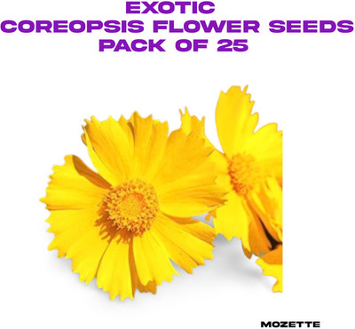 Mozette Exotic coreopsis flower seeds Seed(25 per packet)