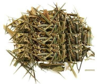 ShubhBhakti Chirayata - Swertia chirata – Chiretta Seed(1 per packet)