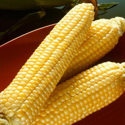 LPR SWEET CORN,BUTTA SEEDS Seed(50 per packet)