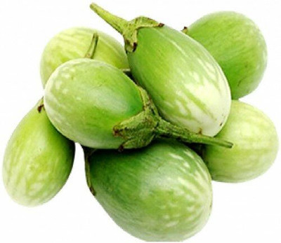 XOLDA Brinjal Green Seed(76 per packet)