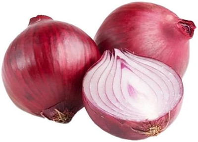Biosnyg Fast Growing Pusa Ratnar Onion Vegetable Seeds For Gardening-(1500 Seeds) Seed(1500 per packet)