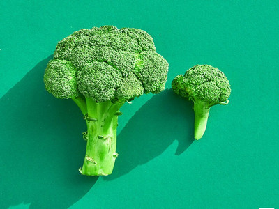 XOLDA Broccoli Seed(28 per packet)