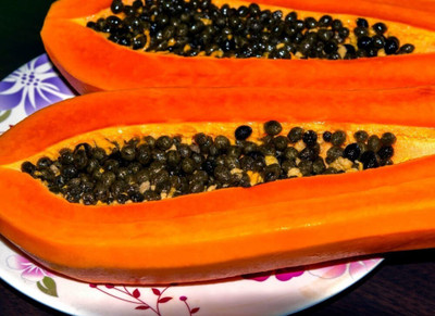 Farmonix Papaya Seed(150 per packet)