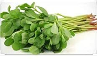 XOLDA Kulfa Vegetable Seed(33 per packet)