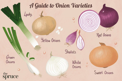 Pbevergreen fresh onion vegetable hybrid seeds 1-packet Seed(20 per packet)