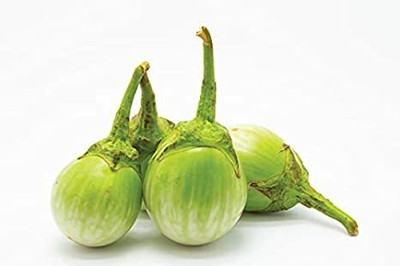 Mozette Hybrid Brinjal green Round Seed(65 per packet)