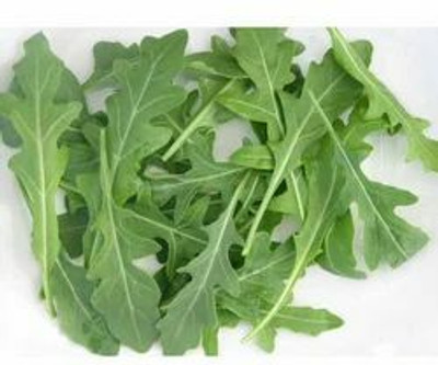 XOLDA Organic rocket herb Seed(17 per packet)