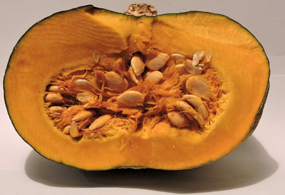 the green dotcom large pumpkin seeds/pumpkin seed 20 Seed(20 per packet)