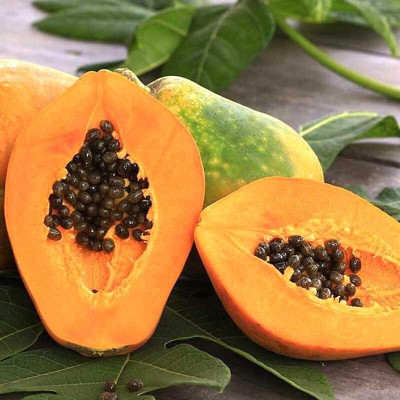 Quentova Papaya-XII-22P Seed(30 per packet)