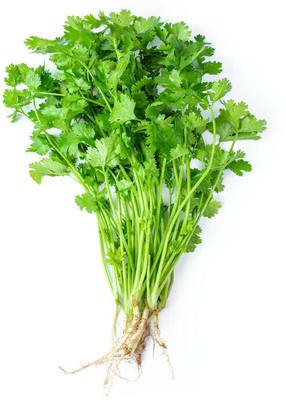 Cloud Farm Coriander-Dhaniya Seed(200 per packet)