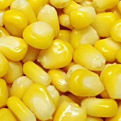 MAA Sweet Corn, Bhutta Seed(13 per packet)