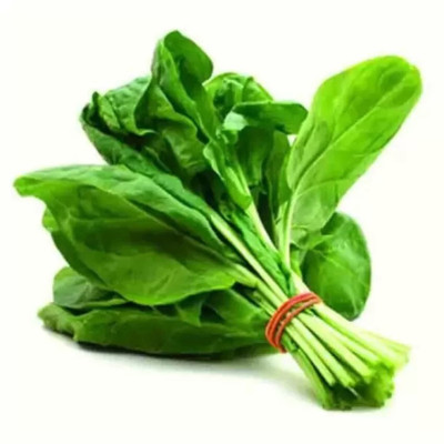 GREENSEA Palak/Spinach Seed(60 per packet)