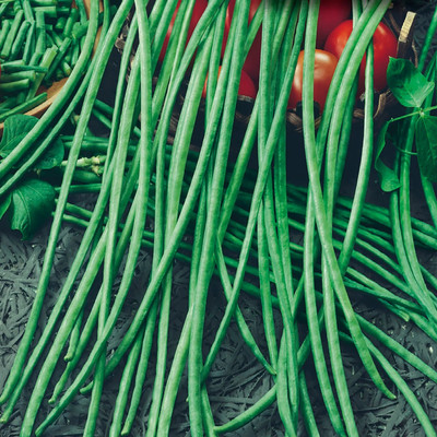 GREENSEA Yard long Bean/Barbati Seeds for Planting, High Yield Seed(152 per packet)