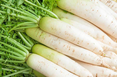 Cloud Farm Hybrid Radish-Mooli Seed(140 per packet)
