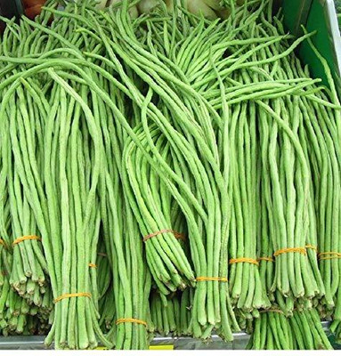 GREENSEA Long Bean/Barbati Seeds for Planting, High Yield Seed(66 per packet)
