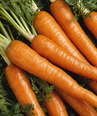 KP BHANDER Carrot seeds Seed(100 per packet)