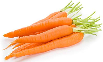 the green dotcom carrot seeds/Carrot Seed 95 Seed(95 per packet)