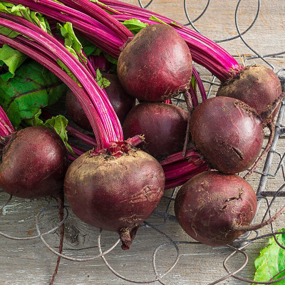 Cloud Farm F1 Hybrid Red Express Beetroot-Chukundar Seed(1200 per packet)