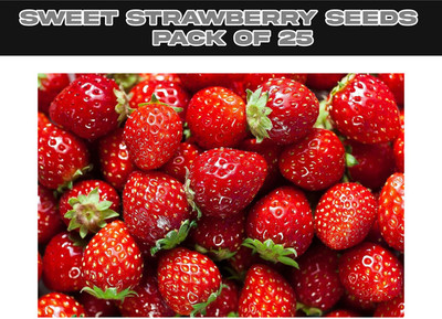 Mozette Strawberry Seed Seed(25 per packet)