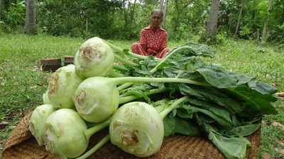 the green dotcom Fresh Knol-Khol Vegetable Hybrid Quality Seed(20 per packet)