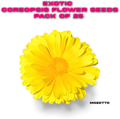 XOLDA Exotic coreopsis flower seeds Seed(25 per packet)